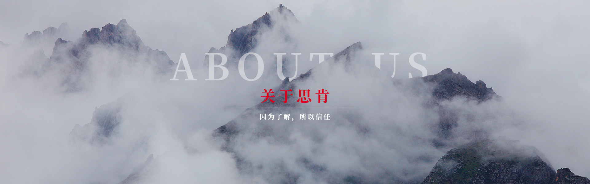 关于思肯