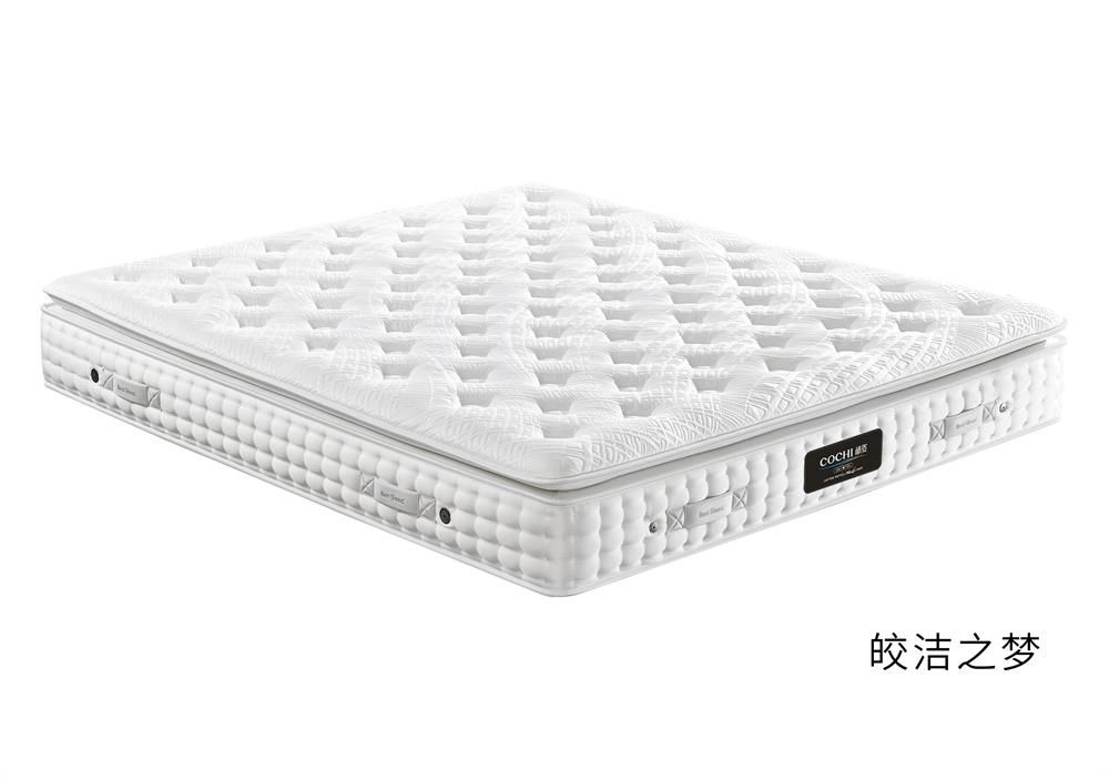 皎洁之梦